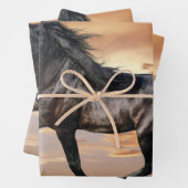 Mooie zwarte paard inpakpapier vel (In situ)