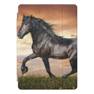 Mooie zwarte paard iPad pro cover