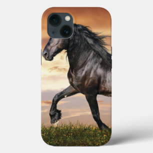 Mooie zwarte paard iPhone 13 hoesje