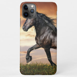 Mooie zwarte paard iPhone 11Pro max hoesje