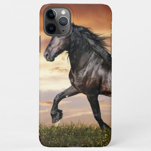 Mooie zwarte paard iPhone hoesje (Achterkant)