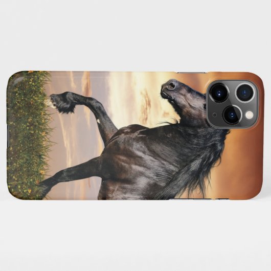 Mooie zwarte paard iPhone hoesje (Achterkant horizontaal)