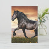 Mooie zwarte paard kaart (Staand voorkant)