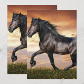 Mooie zwarte paard kaart (Voorkant / Achterkant)