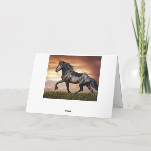 Mooie zwarte paard kaart (Achterkant)
