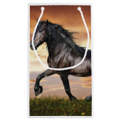 Mooie zwarte paard klein cadeauzakje (Achterkant)