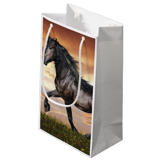 Mooie zwarte paard klein cadeauzakje (Achterkant Gekanteld)
