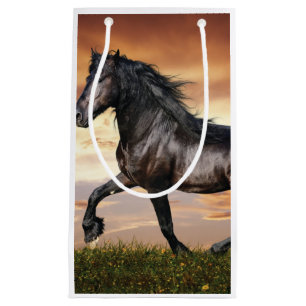 Mooie zwarte paard klein cadeauzakje