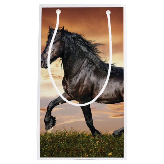 Mooie zwarte paard klein cadeauzakje (Voorkant)