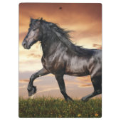 Mooie zwarte paard klembord (Achterkant)