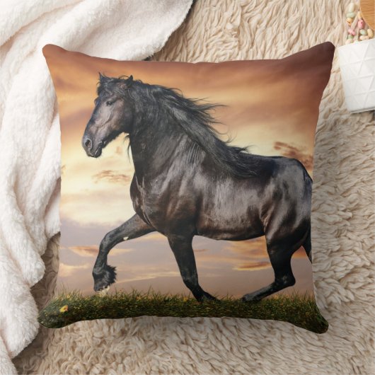 Mooie zwarte paard kussen (Deken)