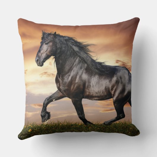 Mooie zwarte paard kussen (Achterkant)