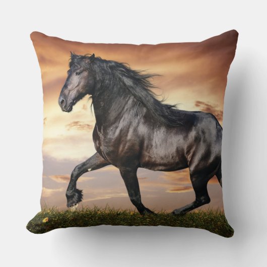 Mooie zwarte paard kussen (Voorkant)