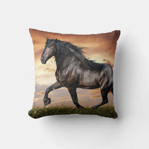 Mooie zwarte paard kussen