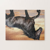 Mooie zwarte paard legpuzzel (Horizontaal)