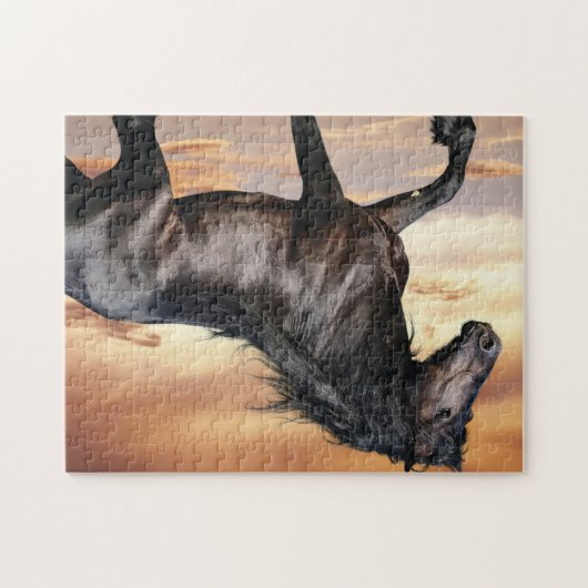 Mooie zwarte paard legpuzzel (Horizontaal)
