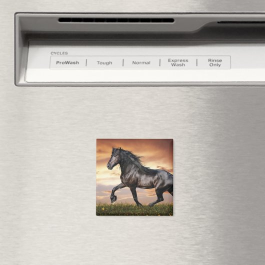Mooie zwarte paard magneet (Insitu (Vaatwasser))