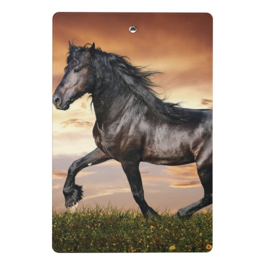 Mooie zwarte paard mini klembord (Achterkant)