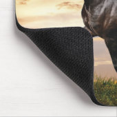 Mooie zwarte paard muismat (Hoek)