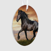Mooie zwarte paard ornament (voorkant)