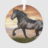 Mooie zwarte paard ornament (achterkant)