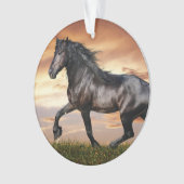 Mooie zwarte paard ornament (voorkant)