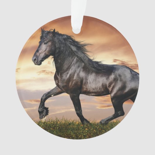 Mooie zwarte paard ornament (voorkant)