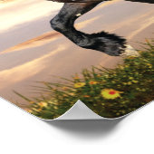 Mooie zwarte paard poster (Hoek)