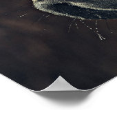 Mooie zwarte paard poster (Hoek)