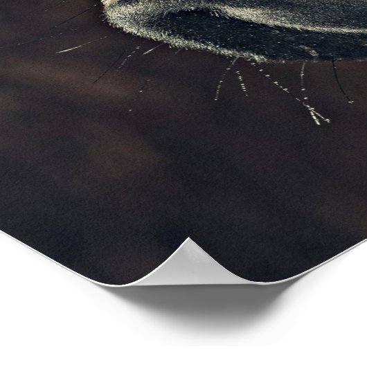 Mooie zwarte paard poster (Hoek)