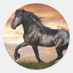 Mooie zwarte paard ronde sticker