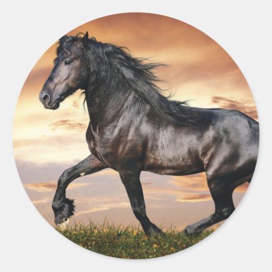 Mooie zwarte paard ronde sticker (Voorkant)