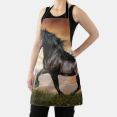 Mooie zwarte paard schort (Insitu)