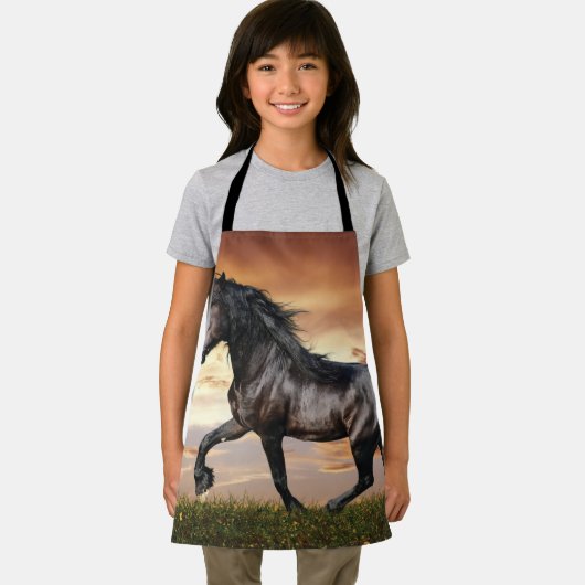 Mooie zwarte paard schort (Insitu)