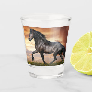 Mooie zwarte paard shot glas