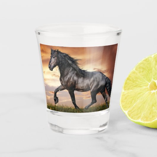 Mooie zwarte paard shot glas (Voorkant)