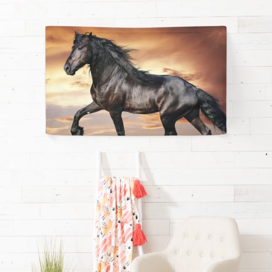 Mooie zwarte paard spandoek (Insitu)