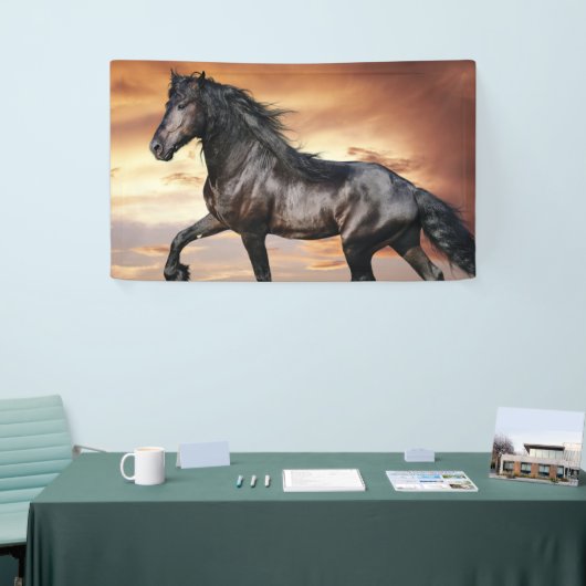 Mooie zwarte paard spandoek (Beurs)