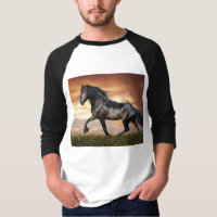 Mooie zwarte paard