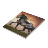Mooie zwarte paard tegeltje (Zijkant)