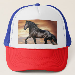 Mooie zwarte paard trucker pet