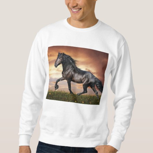 Mooie zwarte paard trui (Voorkant)