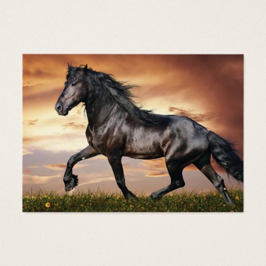 Mooie zwarte paard visitekaartje (Voorkant)