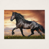 Mooie zwarte paard visitekaartje (Achterkant)
