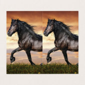 Mooie zwarte paard visitekaartje (Buitenkant ongevouwen)
