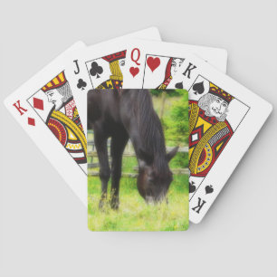 Mooie zwarte paarden grazen in het grasland pokerkaarten