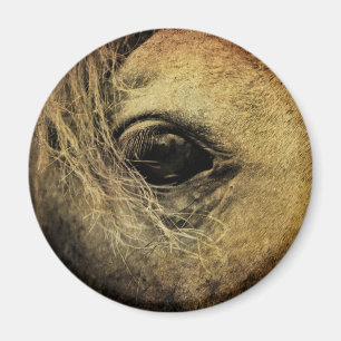 Mooie Zwarte Paarden Oog Magneet
