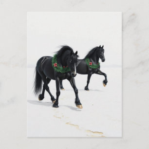 Mooie Zwarte Paarden Winter Sneeuw Kerstmis Briefkaart