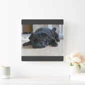 Mooie Zwarte Pug Puppymuurklok Vierkante Klok (Huis)