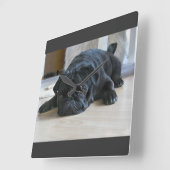 Mooie Zwarte Pug Puppymuurklok Vierkante Klok (Hoek)